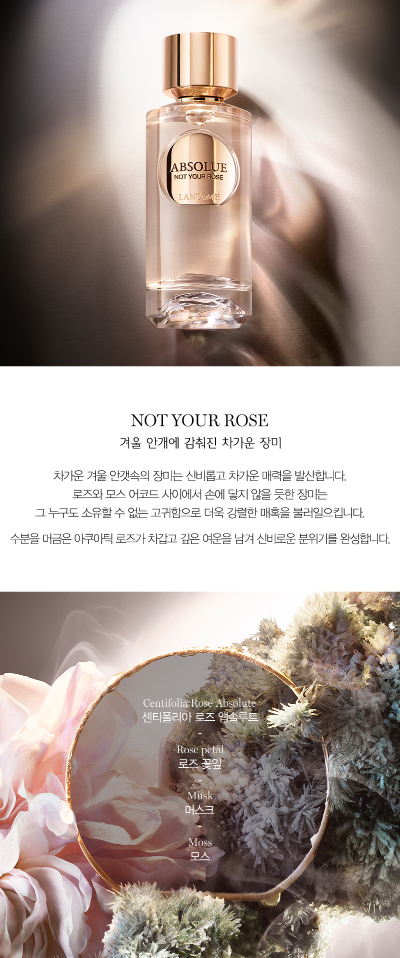 NOT-YOUR-ROSE